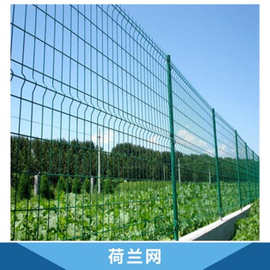 荷兰网 铁丝网 围栏养殖护栏网 包塑栅栏养鸡鸭鹅铁网 价格优惠