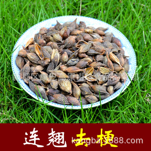 ��ș���B�N���N�S�Nֱ����Ѭ�������l���۸��N��ș������ă�