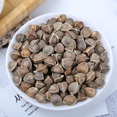 Bulk Spices Wholesale supplier for Indian Moringa Seeds, Directly from Origin - New Arrival African Large Moringa Beans, Agricultural Product Flower Tea