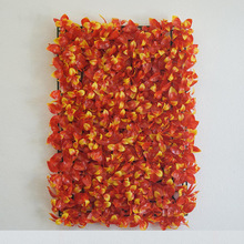 �t�P�˷���ֲ����Ż��ڒ�پGֲ�����b��������ϼٻ��Ų�ƺ��