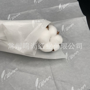 �����ɫlogoϞ�⼈ ѩ�漈 �TϞ��ؐ�� 22g͸����  ӡˢ��ӡ����