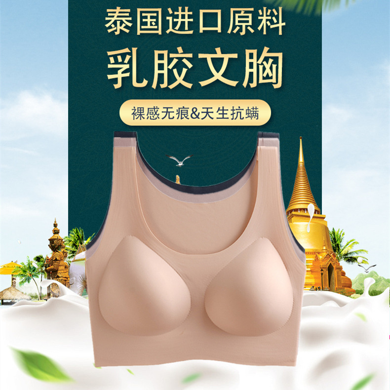 Productos transfronterizos ropa interior de nailon de alta elasticidad/látex de nailon deportes sin costuras sujetador de recolección transpirable damas al por mayor