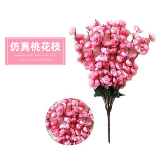 �����һ�����9���һ��Ҿ��b������쾰֦�ٻ��������lͥԺ