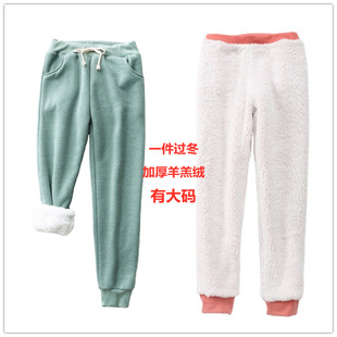 ����2020���q��ѝŮѝ��a���a�@�ݱ�ů��ѝ�Ӻ�ӽq�ﶬŮ�lѝ