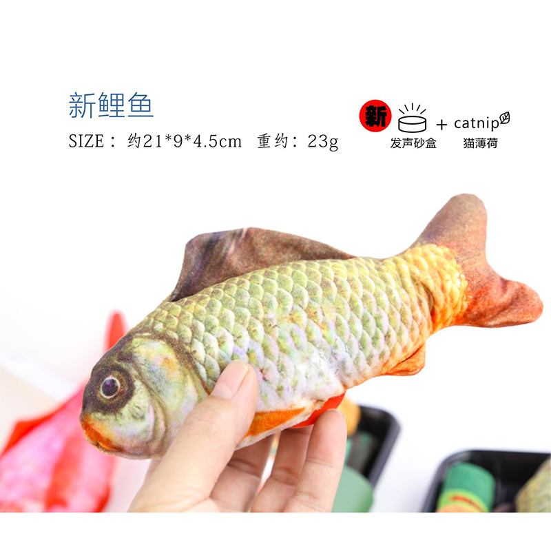 새로운 잉어