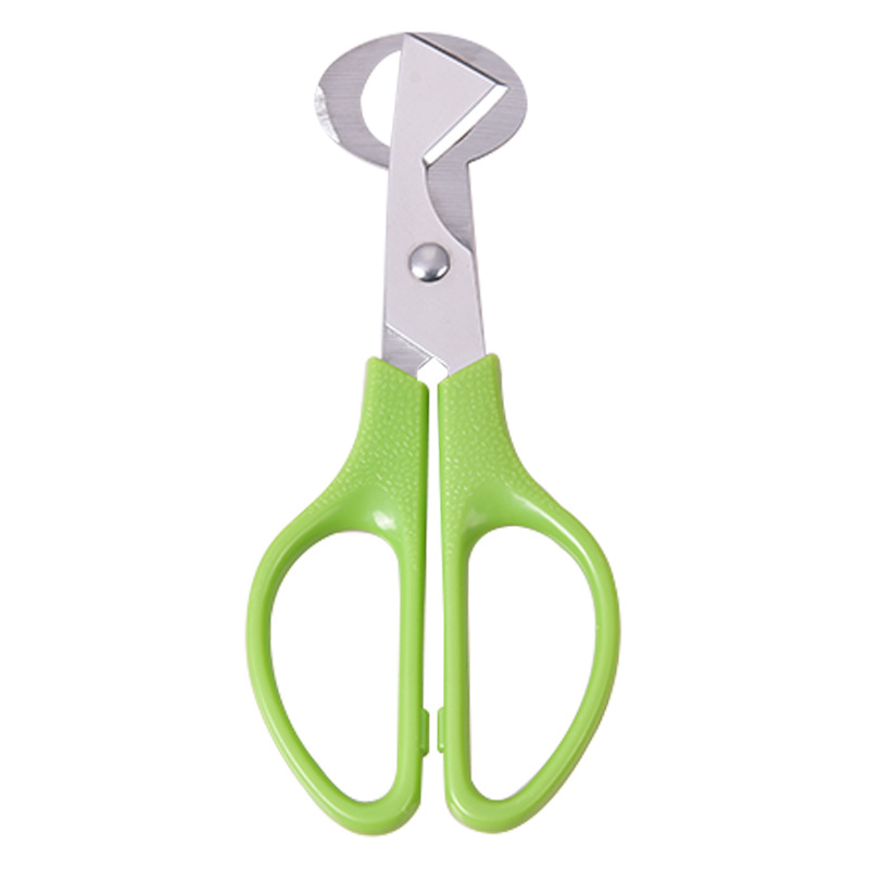 Tijeras de huevo de codorniz de acero inoxidable tijeras de huevo nuevo pájaro huevo tijeras huevo herramienta cocina artefacto