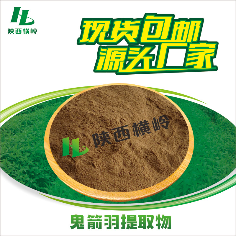 鬼箭羽提取物 50:1高比例鬼箭羽粉 厂家供应 1KG起订 卫矛提取物