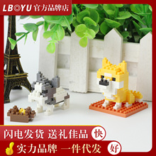 ����ԣ���ͯƴ�b��ߌWУ��ӶYƷ΢��С�w���ʯ�eľ��������