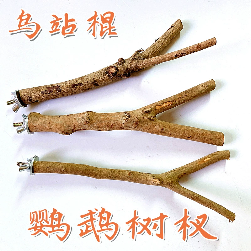 Подставка для попугая Подставка для стержня Бар лестница для попугая зубная палка игрушка шлифовальная палка шлифовальная игрушка принадлежности для птиц подставка палка