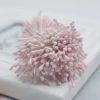 Stranging powder