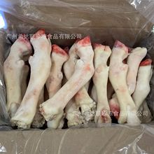 冷冻羊蹄 水褪毛烧烤羊蹄 20斤36只/箱  广州批发冷冻羊蹄 羊脚
