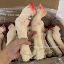 冷冻羊蹄 水褪羊蹄 20斤36只/箱 内蒙古羊脚 糕羊蹄