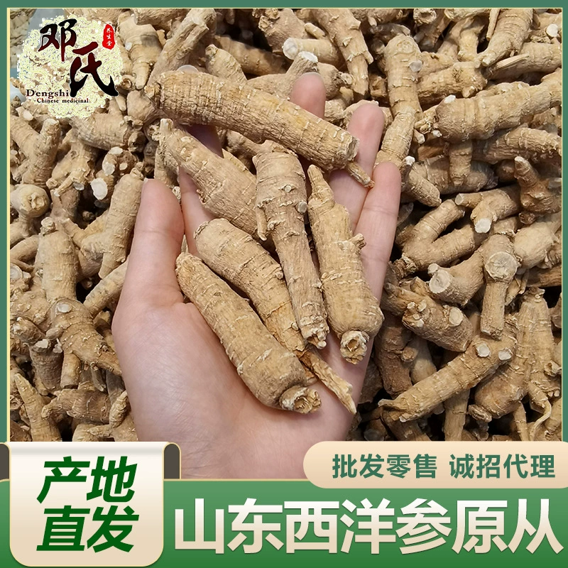 Внутренний сегмент Американского Женьшеня Шаньдун мягкая Обрезка веток 500 г оптовая продажа сегмент Американского Женьшеня объемного происхождения прямые волосы