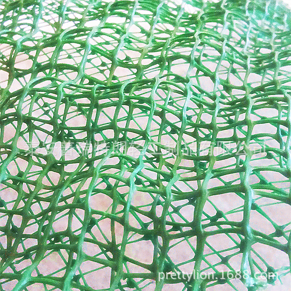 厂家直销供应塑料 三维土工网垫 三维土工网  边坡防护绿化 EM