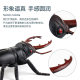 Insect simulation animal model decoration children's early education cognitive toy static model 4 bags customizable
