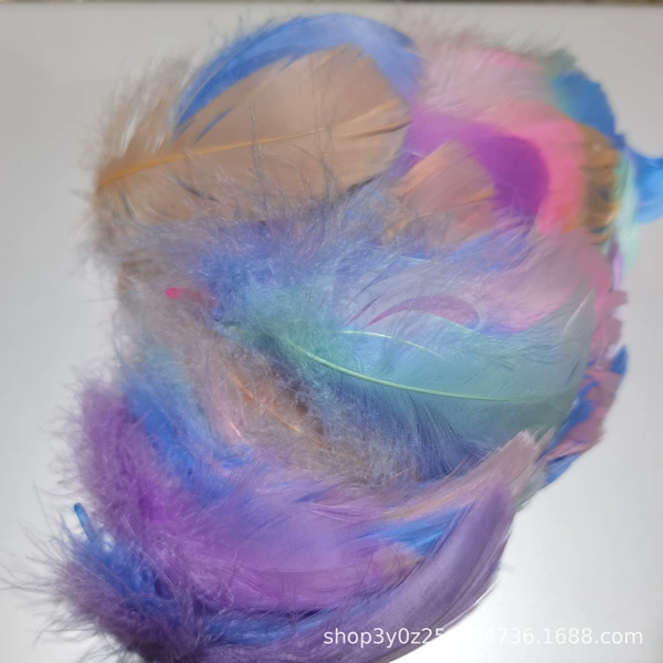 100 feathers, random colors