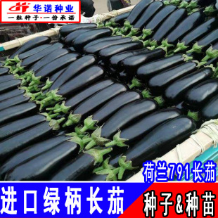 ���m791F1�G���L���ӷN�Ӱ����L���Ѻ������G���L�ѷN�ѷN���ļ�