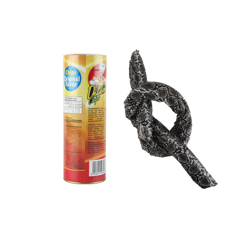 As an April Fool's Day gift, students prank potato chip snakes, bouncing snakes make fun of people, and startle prank potato chip bucket snakes.