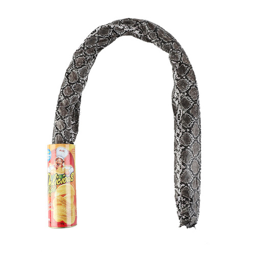 As an April Fool's Day gift, students prank potato chip snakes, bouncing snakes make fun of people, and startle prank potato chip bucket snakes.