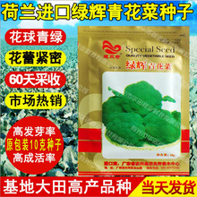 �G�x���m���N���໨�����{���Gɫ��Ҭ�˷N���߲˷N�Ӵ���Nֲ