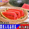 Taiwanese farmers' black beauty gift watermelon seed black skin red soil small gift watermelon seed seed seed seed seed seed fruit seeds