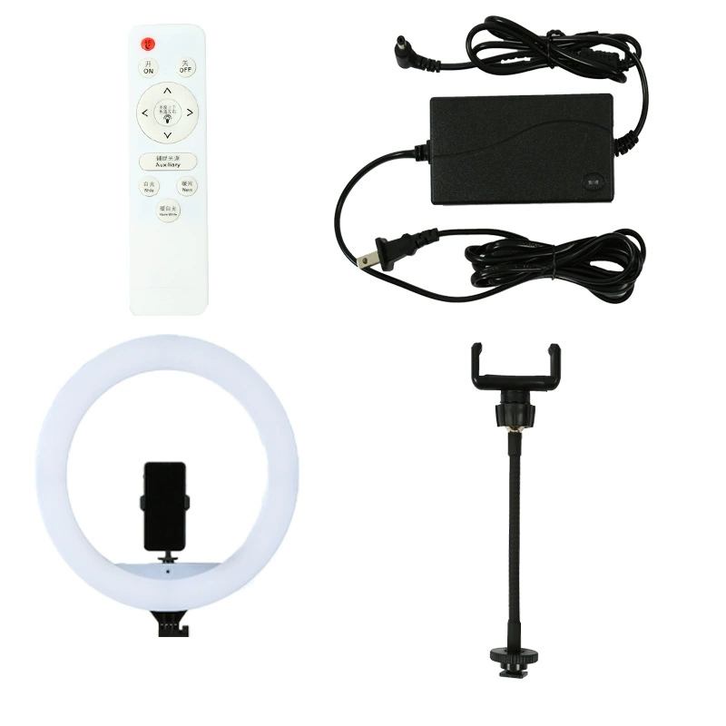 LED Ring Fill Light, Remote Control, Tripod & Phone Holder, Adjustable Brightness