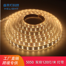 ϲ���5050�p�Ÿ���ů�׹��ɫRGBܛ���l�׹ܷ�ˮ12V600��led��