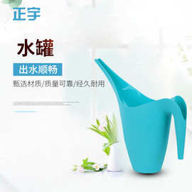 园艺用品长嘴洒水壶PE树脂尖嘴浇花壶花卉绿植耐用塑料浇水壶