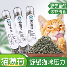 猫零食猫薄荷草叶干粉末猫薄荷猫草薄荷助排毛球清洁口腔宠物用品