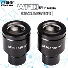 凤佳高眼点10倍广角目镜生物显微镜WF10X/20目镜直径23.2mm