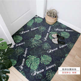 地垫门垫门口进门防滑脚垫门厅塑料地毯丝圈地垫无压边可裁剪-1+