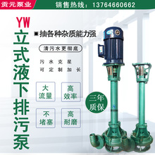 批发YW立式无堵塞排污长杆泵 耐高温处理液下泵 4寸NL76-8泥浆泵