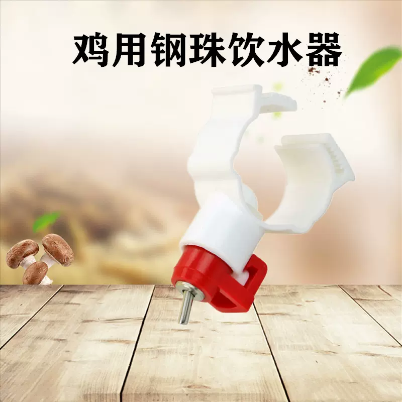 鸡用自动饮水器鸡喝水乳头6分水管卡式钢球饮水器鸡用水线配件