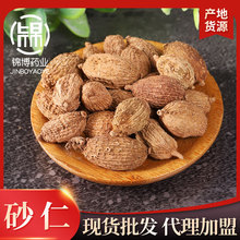 ꖴ�ɰ�ʟoѬ��a��؛Դ�w��M��ș�Ĵ�؛���lșʳͬԴș��