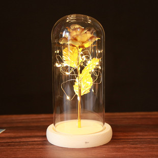 24k𲭲õ廨[ ĸH˹նYl