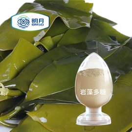 植物精华;海洋生物补充;特殊膳食补充