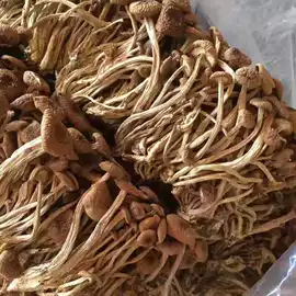 银耳;其他干货;蘑菇