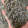 Xinjiang Yili Lavender Bulk New Stuff Lavender Drinking Flower Pillow Fragrant Somber Sleep Swelling Source Wholesale