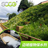 Manufactor Aquasorb Agriculture Forestry Water conservation Slope greening SAP Water absorbent resin Shouke Export