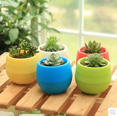 Новые фирменные продукты (ленивые конфеты в горшках) мини-растения в горшках суккуленты зеленые растения в горшках подарки