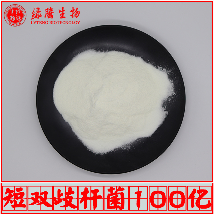 短双歧杆菌100亿cfu/g 冻干型乳酸菌菌粉 益生菌 量大从优