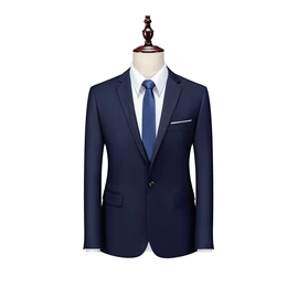 男式西服套装;男式商务西服;中山装唐装