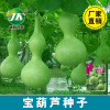 Wholesale Baoshi seeds Ballace Potted courtyard Observation Easy Seed original color bag about 10 wine gourd seed seeds