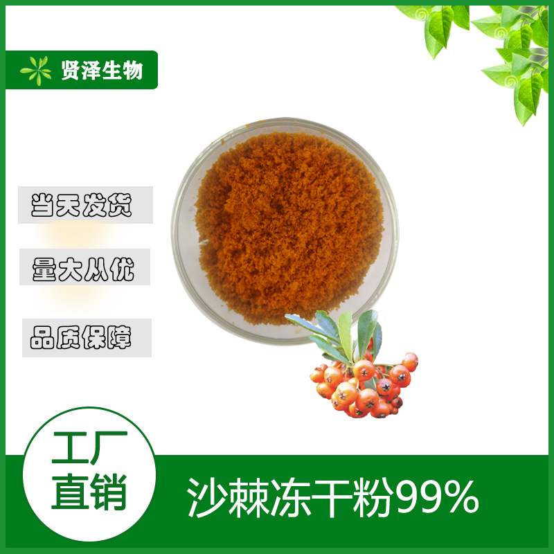 沙棘冻干粉 沙棘粉 沙棘提取物 1千克起批 贤泽生物 现货供应