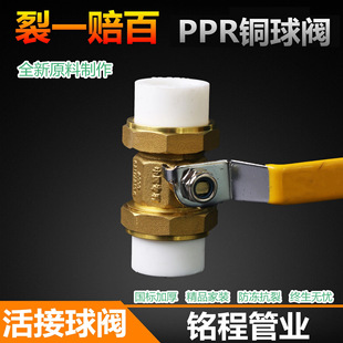 ���lPPR�p����~���y ppr�~���yȫ�~����y �l�yˮů�܌������y