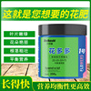 Factory Hua Duoduo Water -soluble Fertilizer Special Organic Organic Fertilizer Green Plant Flower Merit Fatty Belly Permades wholesale