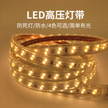 led灯带 2835双排防水高压灯条 220V家装工程背景墙柔性霓虹灯带