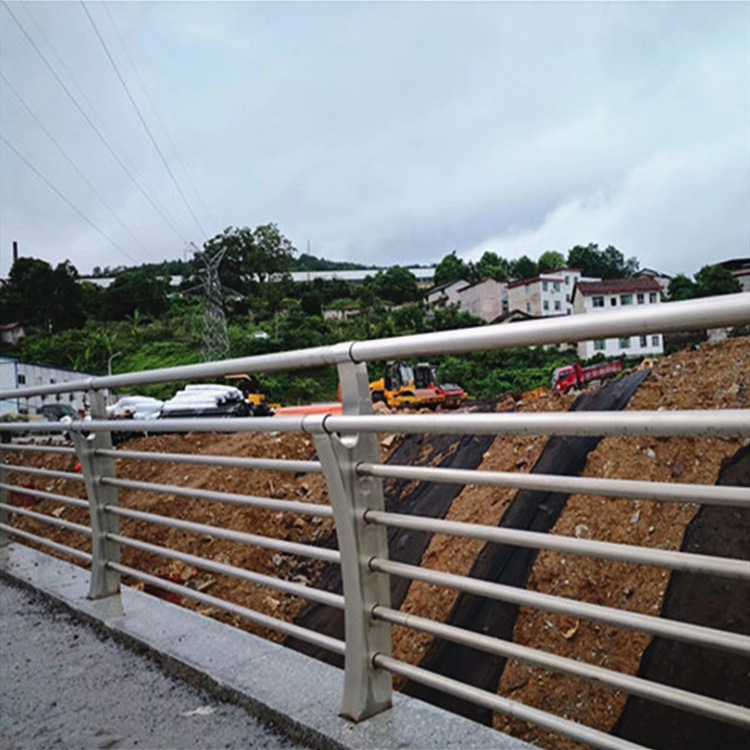 厂家直供南沙河道河提LED不锈钢复合管护栏灯光 道路护栏钢管栏杆