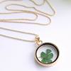 Necklace, creative plant lamp, sample, pendant, jewelry, Korean style, four-leaf clover