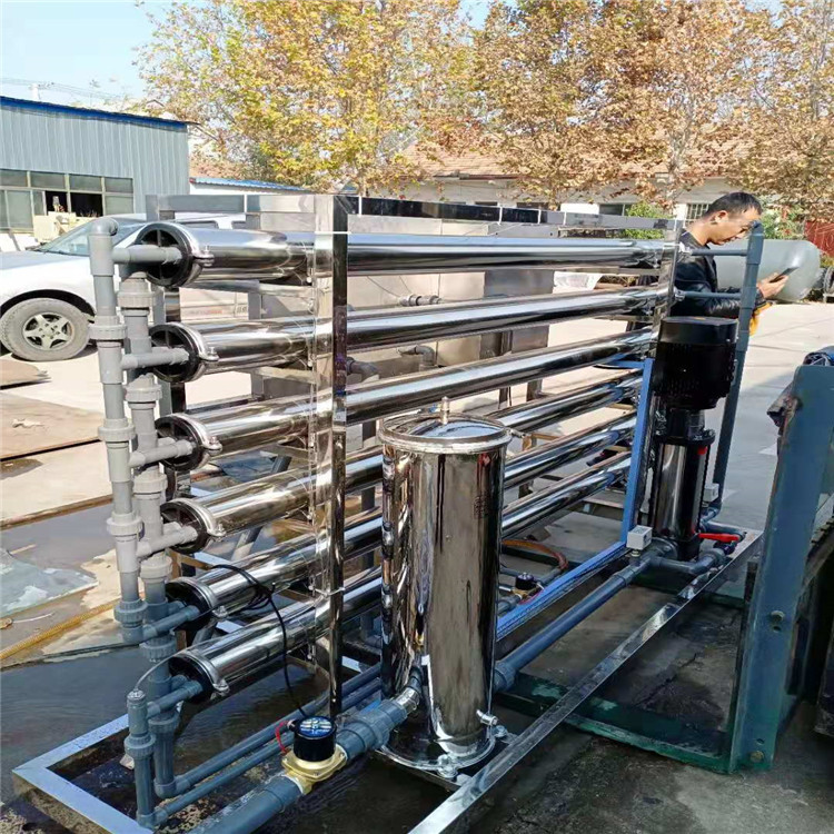 反渗透纯净水设备 胜王水处理 全不锈钢单级苦咸水过滤淡化